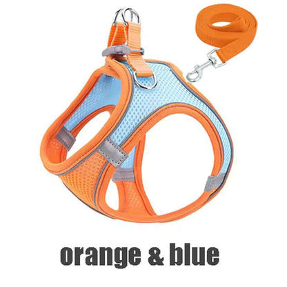 Cat Outdoor Walking Lead Leash