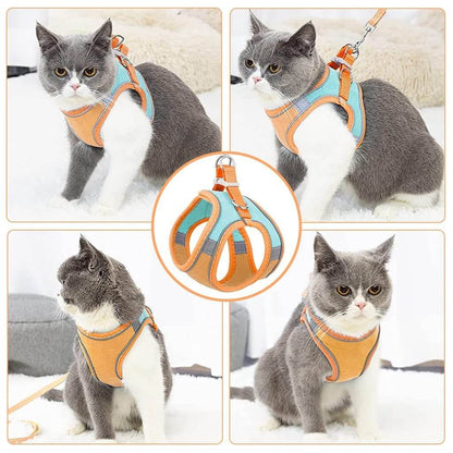 Cat Outdoor Walking Lead Leash