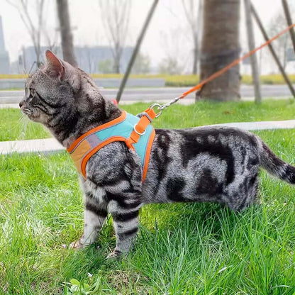 Cat Outdoor Walking Lead Leash