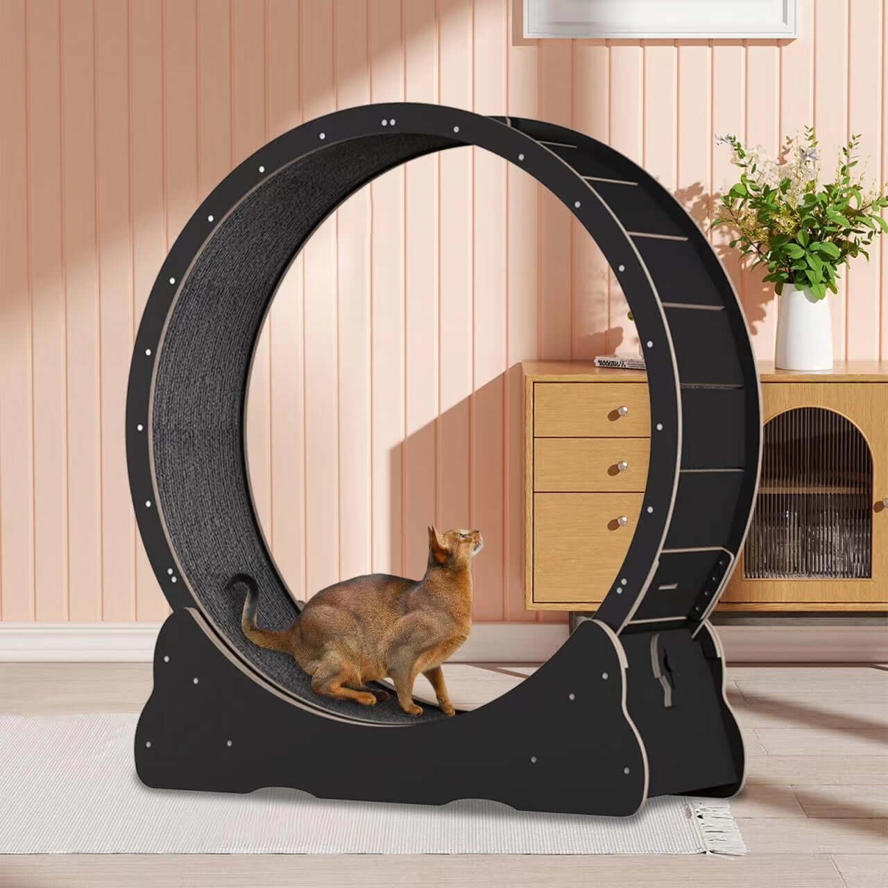 Cat Running Wheel – Exercise & Climbing Frame